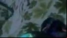 Bangladesh school girl fuck